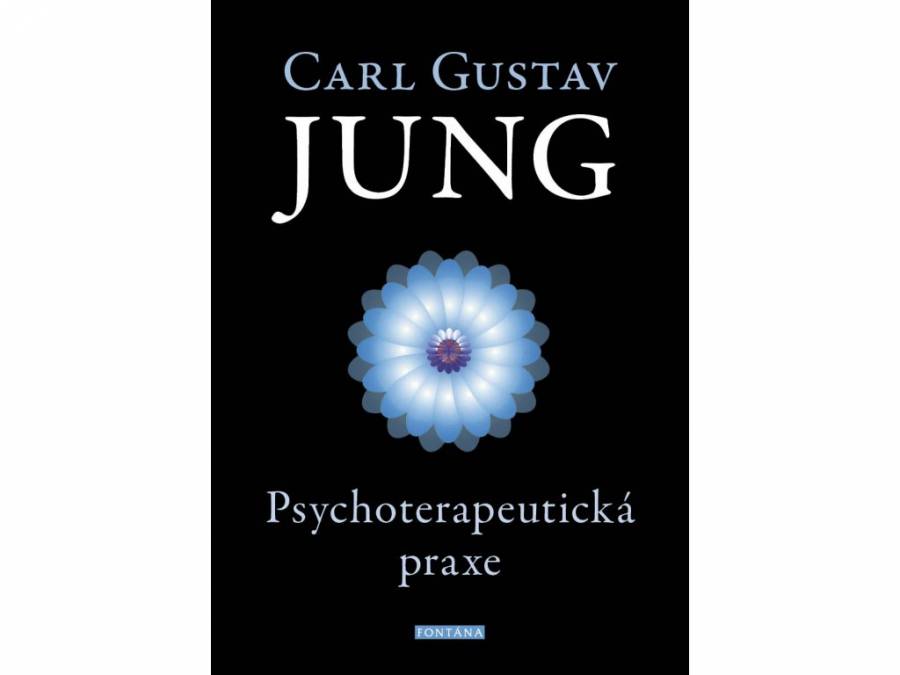 Psychoterapeutická praxe