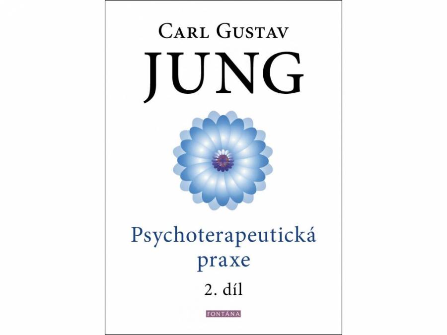 Psychoterapeutická praxe 2. díl