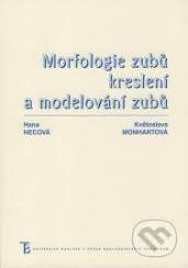 Morfologie zubů - Kreslení a modelování zubů